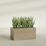 Granada fiberglass planter in Gloss Metallic Gold, shown planted, in a sunlit interior