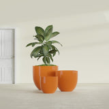 Alzira Bowl fiberglass planter in Gloss Tangerine, size range, in a sunlit interior