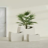 Seoul Curved fiberglass planter in Satin Beige, size range, in a sunlit interior