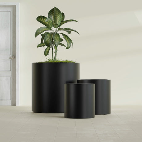 Rio Grande Cylinder fiberglass planter in Matte Black, size range, in a sunlit interior