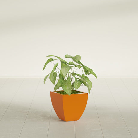 Lima Tapered Square fiberglass planter in Gloss Tangerine, shown planted, in a sunlit interior