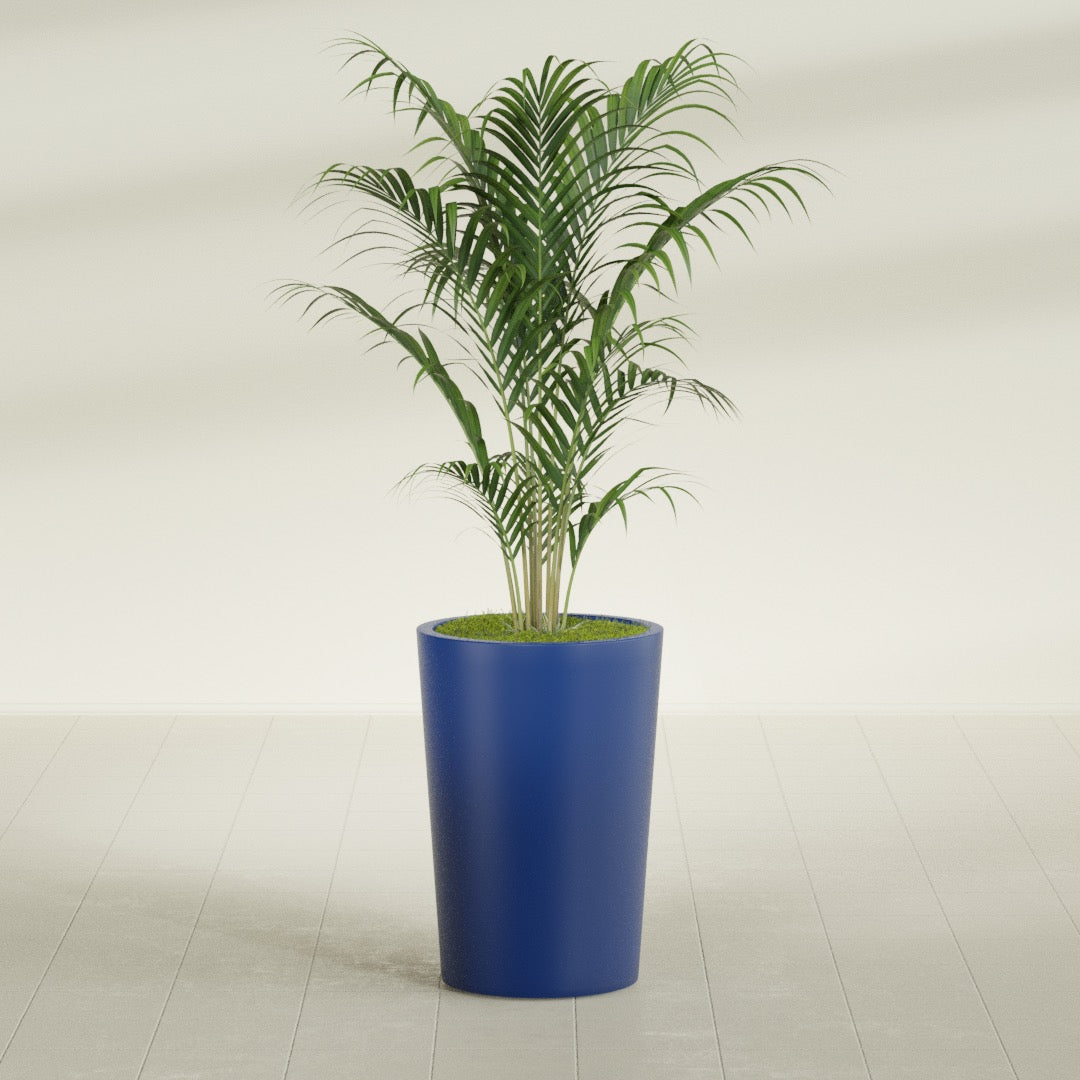Tegel Round Tapered fiberglass planter in Matte Cobalt Blue, shown planted, in a sunlit interior