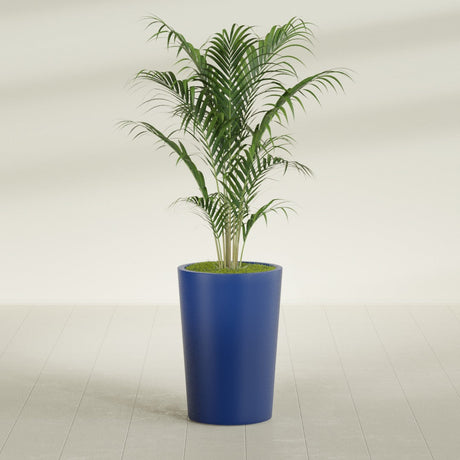 Tegel Round Tapered fiberglass planter in Matte Cobalt Blue, shown planted, in a sunlit interior
