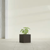 Monaco Cube fiberglass planter in Matte Dark Brown, shown planted, in a sunlit interior