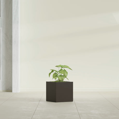 Monaco Cube fiberglass planter in Matte Dark Brown, shown planted, in a sunlit interior
