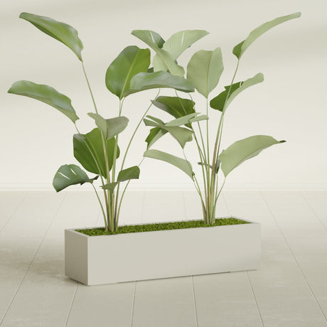 Cuba Corner fiberglass planter in Satin Beige, shown planted, in a sunlit interior