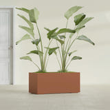 Badalona Rectangular fiberglass planter in Matte Terra Cotta, shown planted, in a sunlit interior