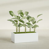 Torino Wide Rectangular fiberglass planter in Matte Bright White, shown planted, in a sunlit interior
