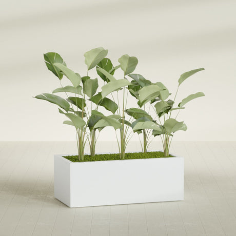 Torino Wide Rectangular fiberglass planter in Matte Bright White, shown planted, in a sunlit interior