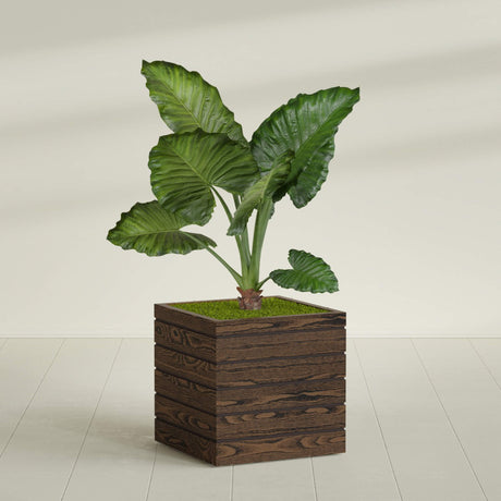 Asheville Cube planter in textured walnut, shown planted, in a sunlit interior