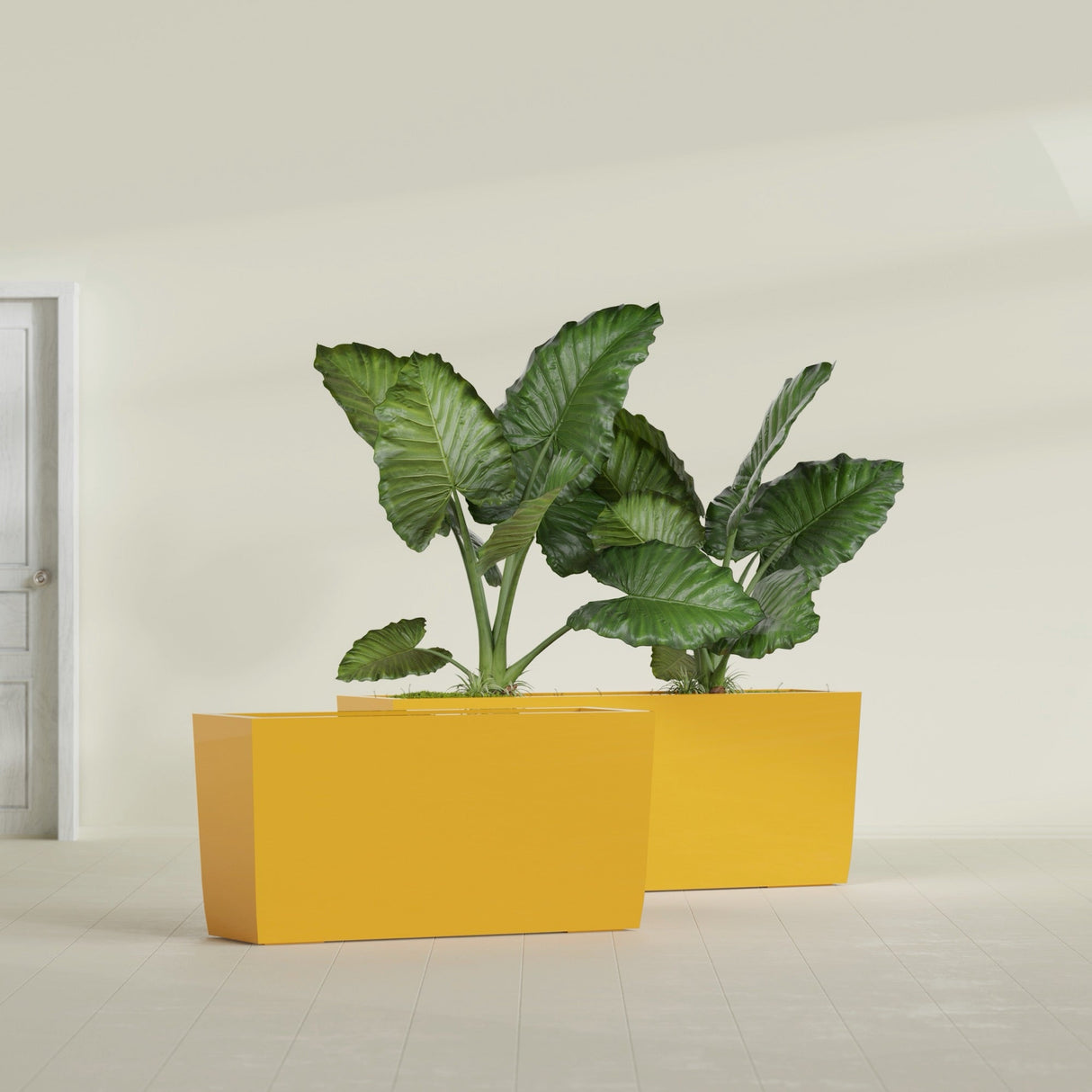 Panama Tapered Rectangular fiberglass planter in Gloss Saffron, shown planted, in a sunlit interior