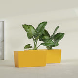 Panama Tapered Rectangular fiberglass planter in Gloss Saffron, shown planted, in a sunlit interior