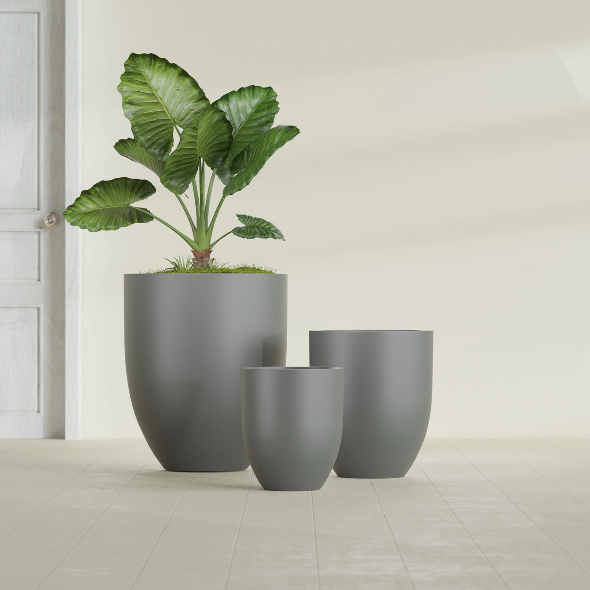 Valencia Tapered Round fiberglass planter in Matte Gunmetal, size range, in a sunlit interior
