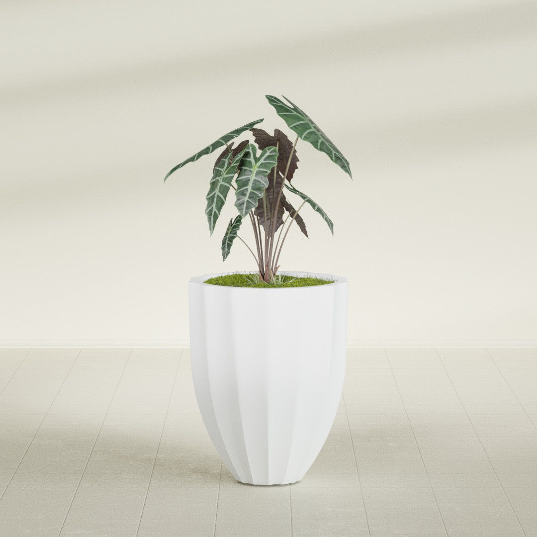 Alicante Fluted fiberglass planter in Gloss Bright White, shown planted, in a sunlit interior