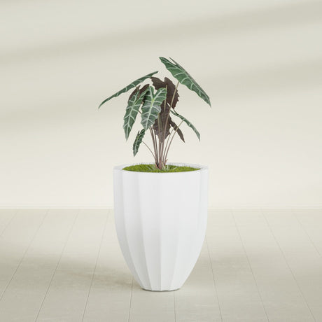 Alicante Fluted fiberglass planter in Gloss Bright White, shown planted, in a sunlit interior