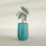 Hayden Urn fiberglass planter in Satin Seafoam Green, shown planted, in a sunlit interior