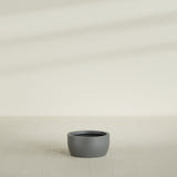 Casablanca Bowl Planter in Matte Gunmetal, 20"D × 10"H, shown empty