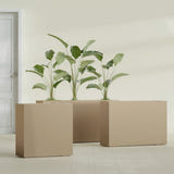Milano Narrow Rectangular fiberglass planter in Gloss Metallic Gold, shown planted, in a sunlit interior