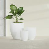 Valencia Tapered Round fiberglass planter in Matte Bright White, size range, in a sunlit interior