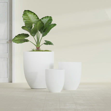 Valencia Tapered Round fiberglass planter in Matte Bright White, size range, in a sunlit interior