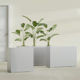 Milano Narrow Rectangular fiberglass planter in Metallic Silver, shown planted, in a sunlit interior