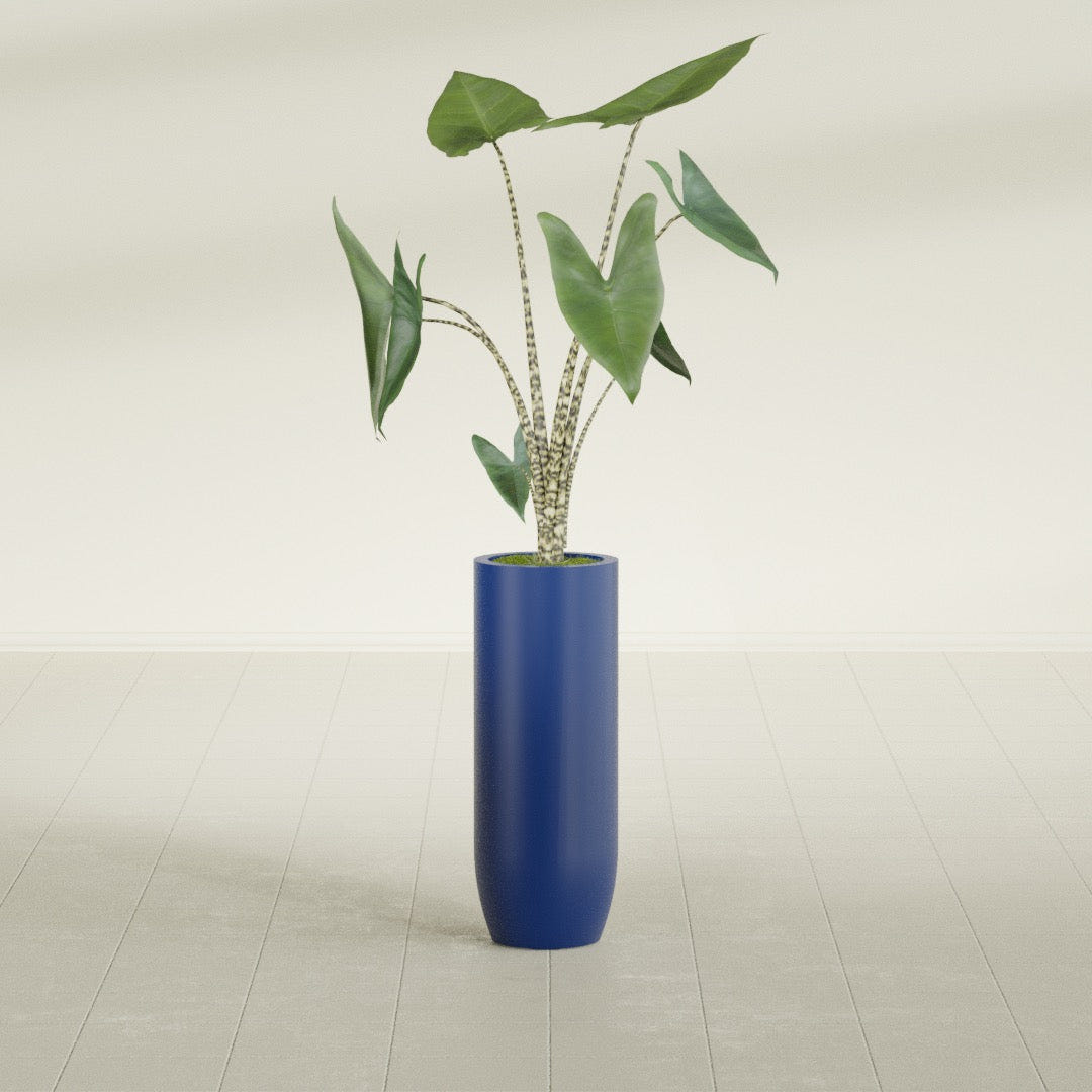 Saint Tropez Bullet Round fiberglass planter in Matte Cobalt Blue, shown planted, in a sunlit interior