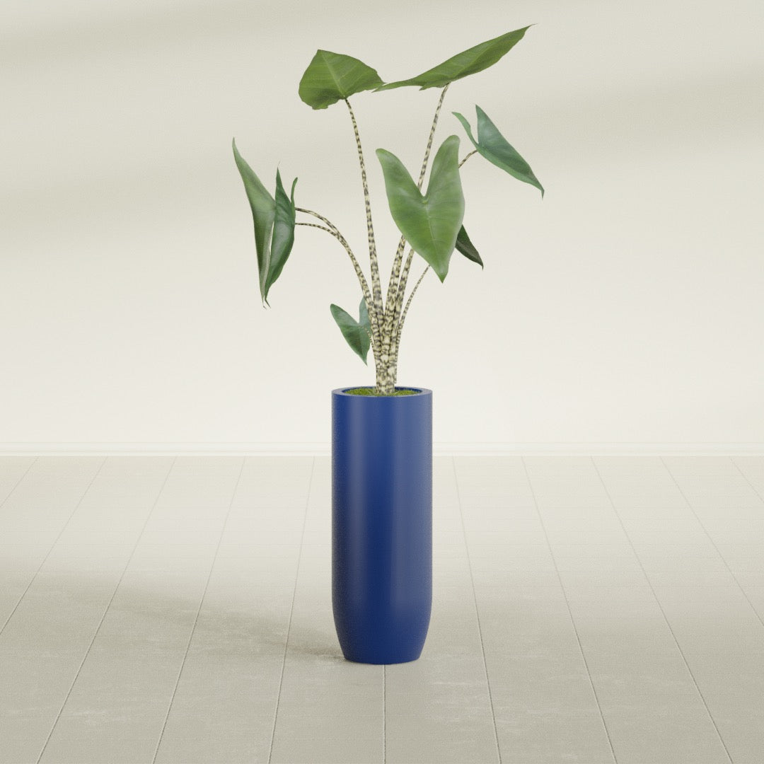Saint Tropez Bullet Round fiberglass planter in Matte Cobalt Blue, shown planted, in a sunlit interior