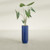 Saint Tropez Bullet Round fiberglass planter in Matte Cobalt Blue, shown planted, in a sunlit interior