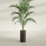 Corry Cylinder fiberglass planter in Matte Dark Brown, shown planted, in a sunlit interior