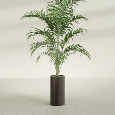 Corry Cylinder fiberglass planter in Matte Dark Brown, shown planted, in a sunlit interior