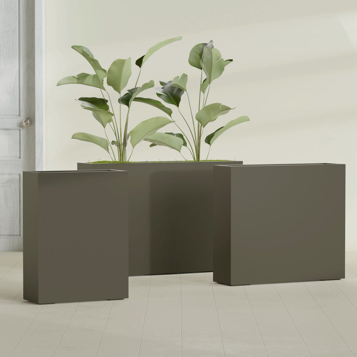 Amesbury Narrow Rectangular fiberglass planter in Matte Bronze, size range, in a sunlit interior