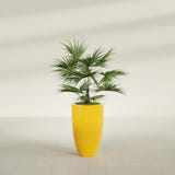 Brannan Tapered Round fiberglass planter in Gloss Saffron, shown planted, in a sunlit interior