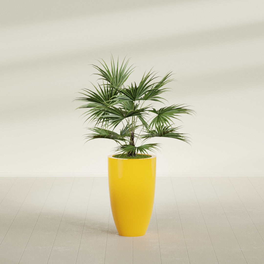 Brannan Tapered Round fiberglass planter in Gloss Saffron, shown planted, in a sunlit interior