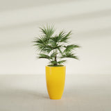 Brannan Tapered Round fiberglass planter in Gloss Saffron, shown planted, in a sunlit interior