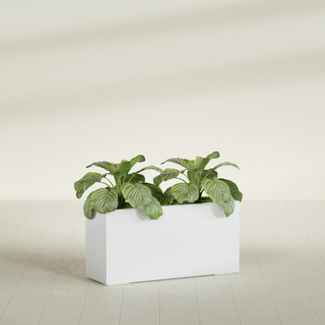 Miami Corner fiberglass planter in Gloss Bright White, shown planted, in a sunlit interior