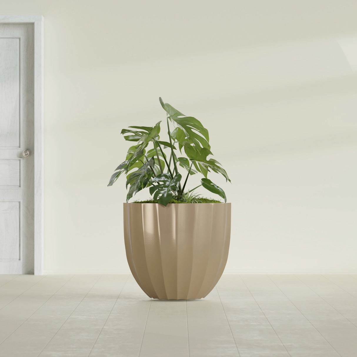 Santa Barbara Fluted Round fiberglass planter in Gloss Metallic Gold, shown planted, in a sunlit interior