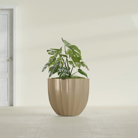Santa Barbara Fluted Round fiberglass planter in Gloss Metallic Gold, shown planted, in a sunlit interior