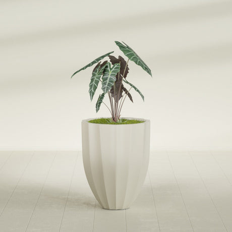 Alicante Fluted fiberglass planter in Satin Beige, shown planted, in a sunlit interior