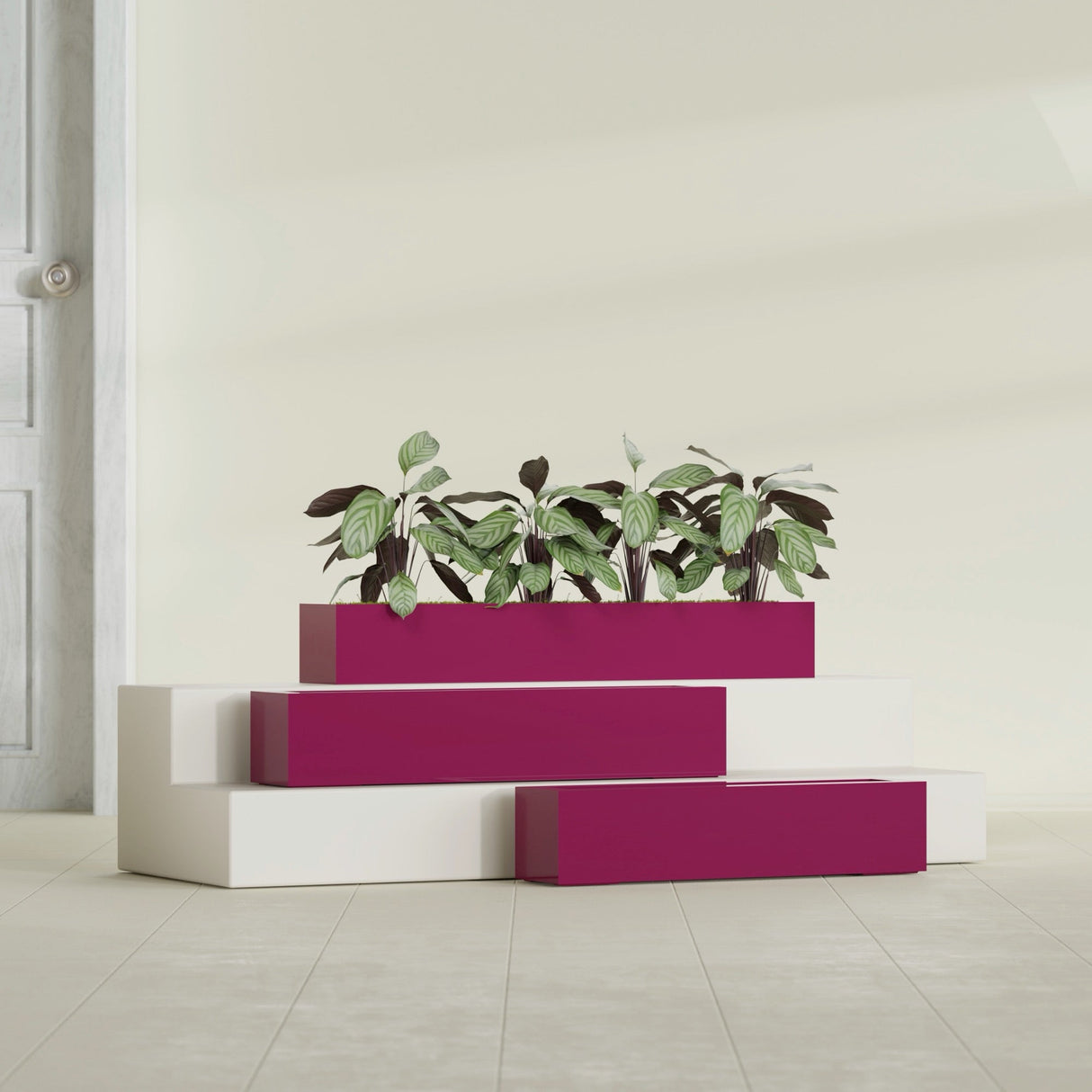 Salon Box fiberglass planter in Gloss Eggplant, size range, in a sunlit interior