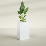 Darwin Corner fiberglass planter in Matte Bright White, shown planted, in a sunlit interior