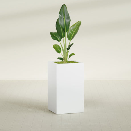 Darwin Corner fiberglass planter in Matte Bright White, shown planted, in a sunlit interior