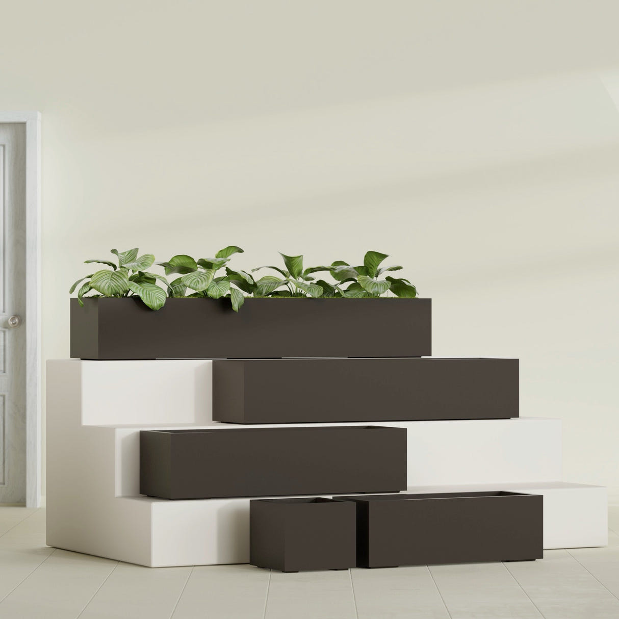 Cuba Low Rectangular fiberglass planter in Matte Dark Brown, size range, in a sunlit interior
