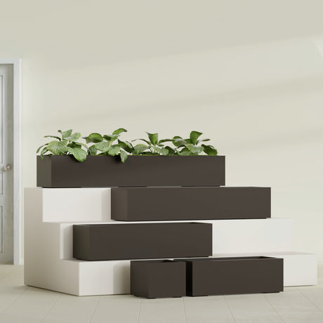Cuba Low Rectangular fiberglass planter in Matte Dark Brown, size range, in a sunlit interior