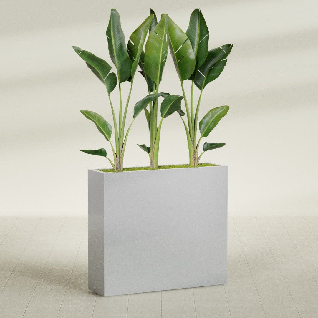 Amesbury Narrow Rectangular fiberglass planter in Metallic Silver, shown planted, in a sunlit interior