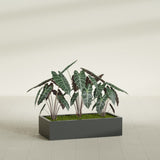Antwerp Rectangular fiberglass planter in Matte Charcoal, shown planted, in a sunlit interior