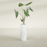 Saint Tropez Bullet Round fiberglass planter in Matte Bright White, shown planted, in a sunlit interior