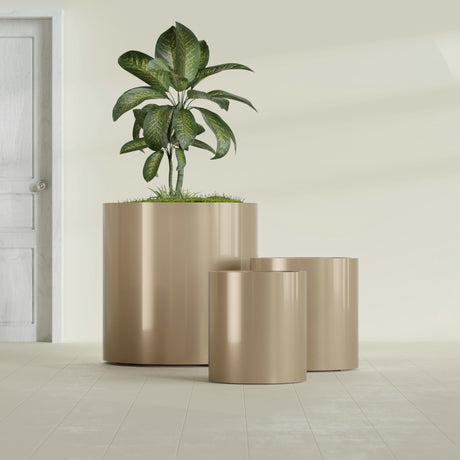Rio Grande Cylinder fiberglass planter in Gloss Metallic Gold, size range, in a sunlit interior
