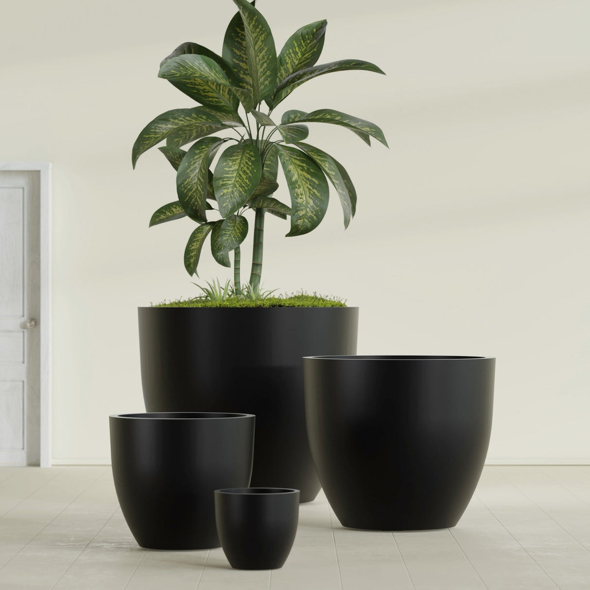Wannsee Round fiberglass planter in Matte Black, size range, in a sunlit interior