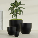 Wannsee Round fiberglass planter in Matte Black, size range, in a sunlit interior