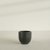 Alzira Bowl Planter in Matte Charcoal, 23"D × 22"H, shown empty